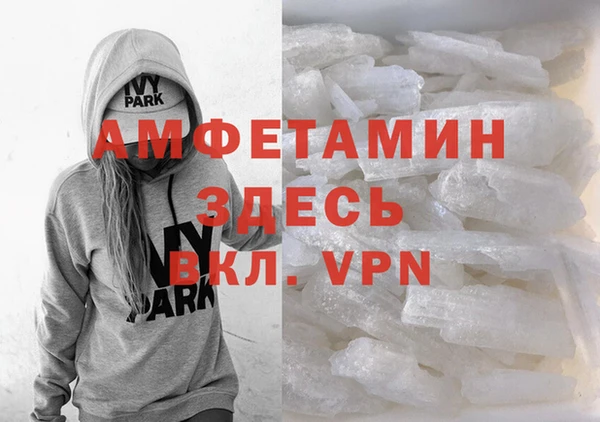 spice Гатчина