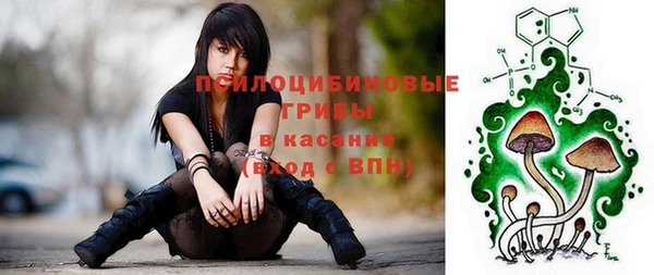 ПСИЛОЦИБИНОВЫЕ ГРИБЫ Белоозёрский