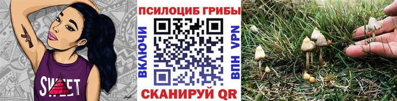 Псилоцибиновые грибы Psilocybine cubensis  гидра ссылка  Городовиковск 